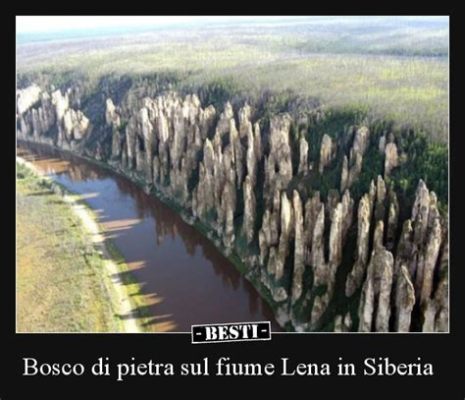 Il Bosco di Pietra, un labirinto naturale di forme fantastiche e misteriose!